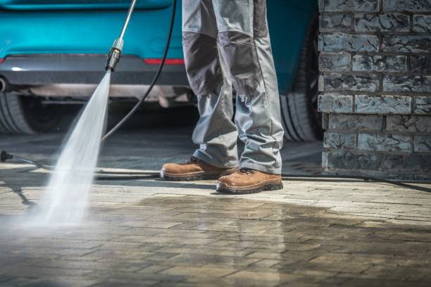 Reliable Laguna Heights, TX Pressure Washing Solutions