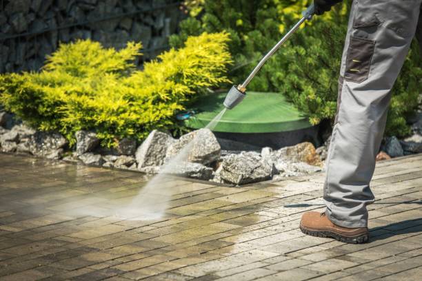 Best Dumpster Area Cleaning  in Laguna Heights, TX