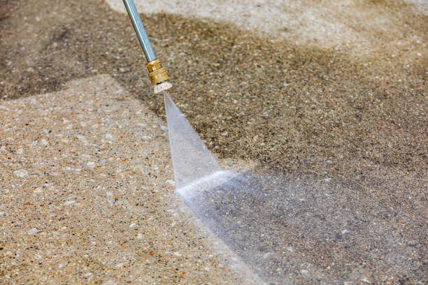 Best Driveway Pressure Washing  in Laguna Heights, TX